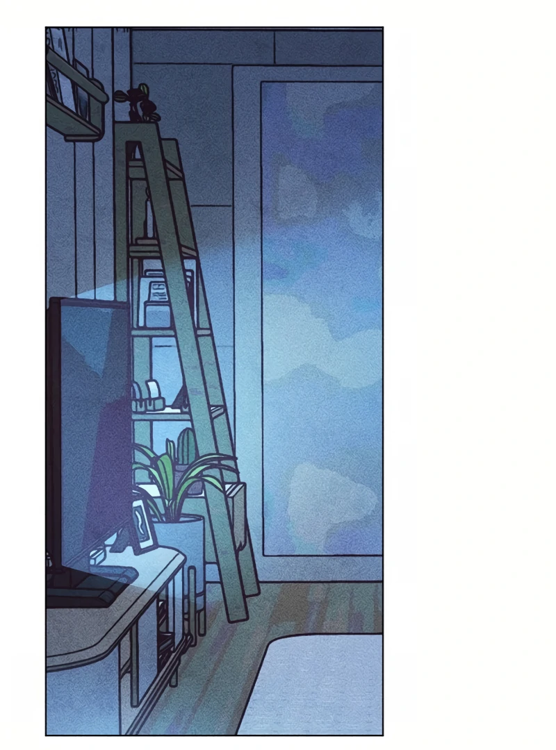 76472966 800 1080 105872