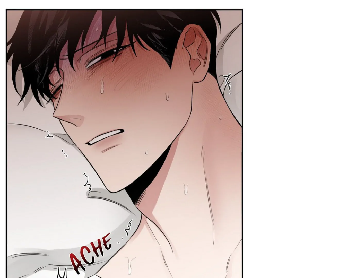 71201934 1348 1080 43936